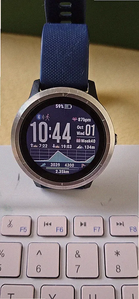 Garmin Vivoactive 3 GPS-Smartwatch