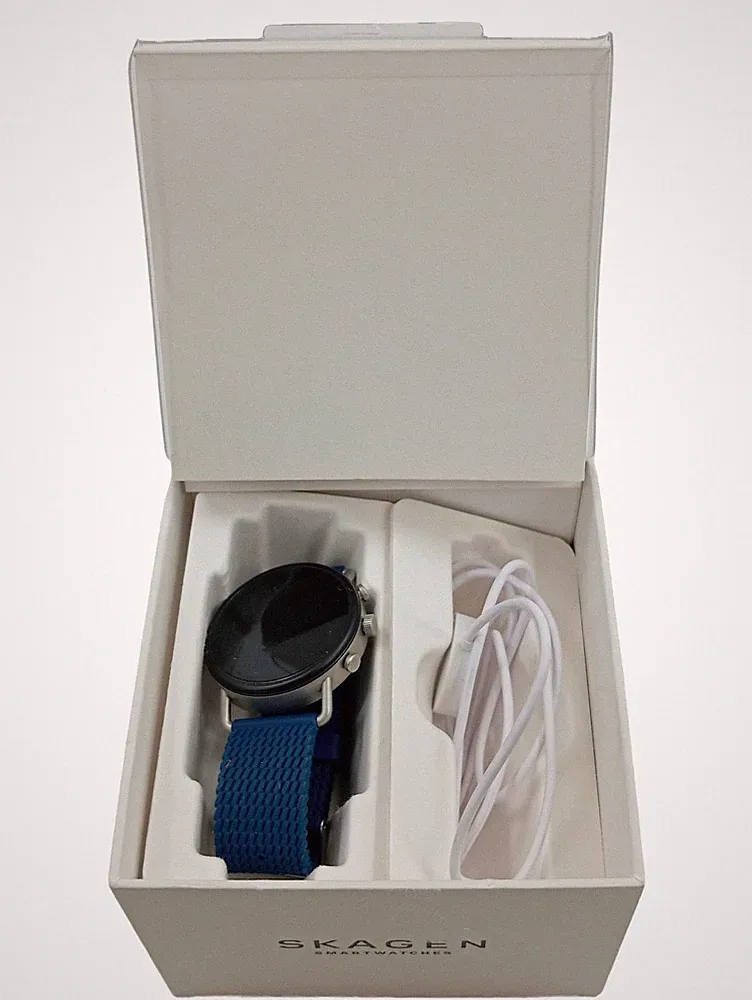 Skagen Falster 3 Smartwatch Herren Blau Wear OS Bluetooth SKT5203