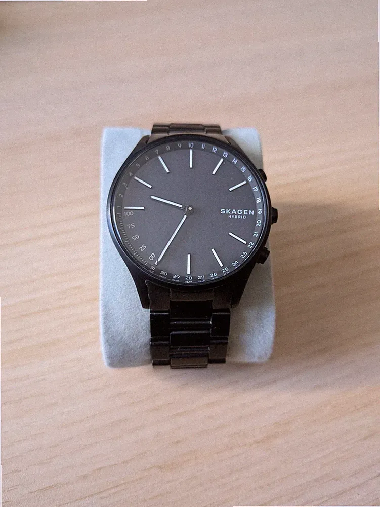 Skagen Holst Hybrid Smartwatch